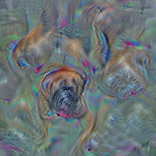 n02108000